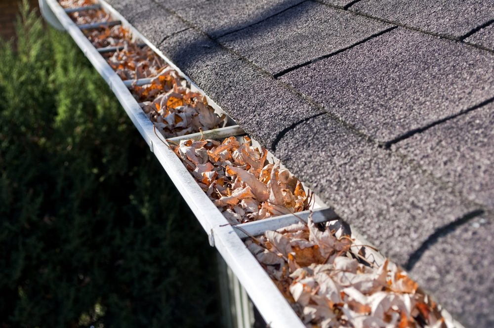 Gutter Cleaning and Why you Should